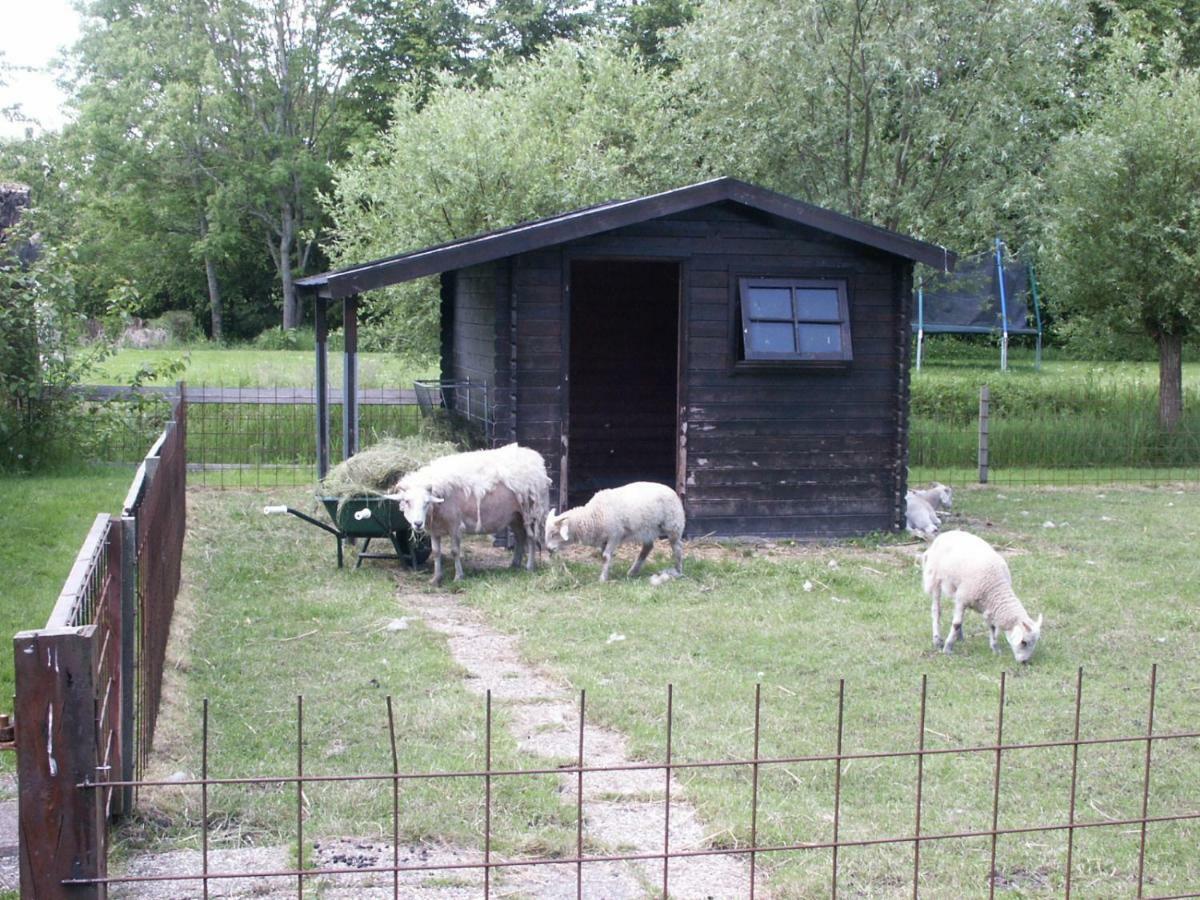 Apartament De Wilgenhof Finsterwolde Zewnętrze zdjęcie